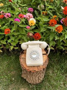 audio księga gości