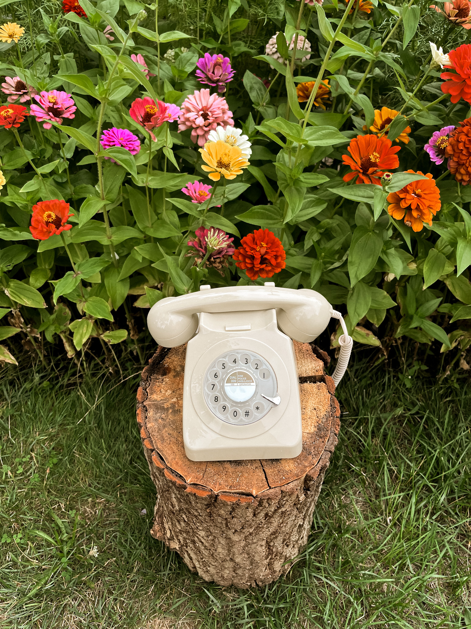 audio księga gości